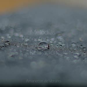 Melodías Reconfortantes De La Naturaleza | Relajación - Ambiente