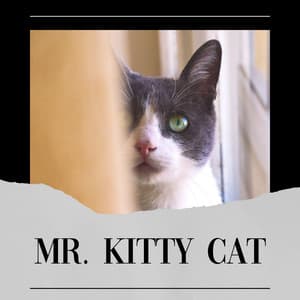 Mr. Kitty Cat - Music for Cats Peace