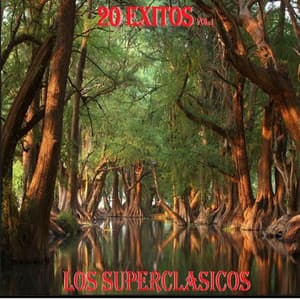 20 Exitos vol.1 - Los Superclasicos