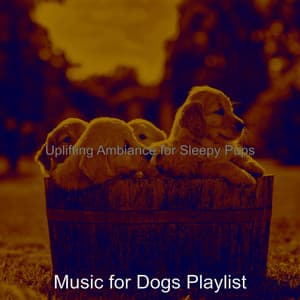 Uplifting Ambiance for Sleepy Pups - Music for Dogs Playlist