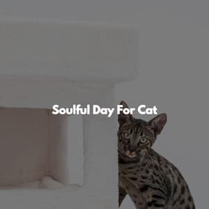 Soulful Day For Cat - Música de Trabajo De Lujo