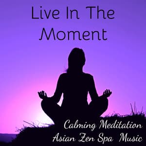 Live In The Moment - Calming Asian Zen Spa Meditation Music for Brilliant Mind - Asian Zen