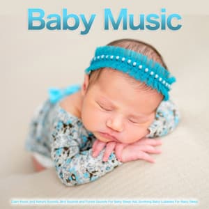 Baby Music: Calm Music and Nature Sounds, Bird Sounds and Forest Sounds For Baby Sleep Aid, Soothing Baby Lullabies For Baby Sleep - Baby Sleep Music