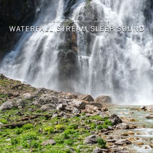Waterfall Stream Sleep Sound - Dr. John Douglas