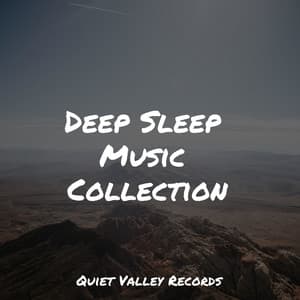 Deep Sleep Music Collection - Nature Recordings