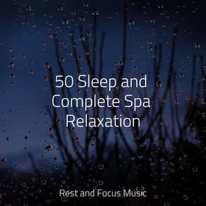 50 Sleep and Complete Spa Relaxation - Oasis de Détente et Relaxation