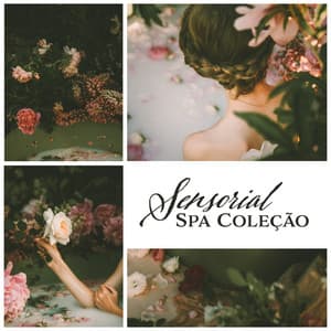 Sensorial Spa Coleção - Música para Massagem e Relaxamento Puro, Reflexologia, Shiatsu Massagem, Aromaterapia - Massagem Música