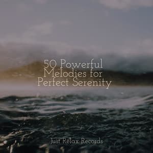 50 Powerful Melodies for Perfect Serenity - MÚSICA PARA NIÑOS