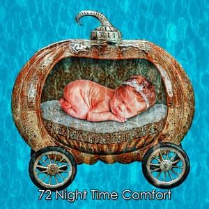 72 Night Time Comfort - Pet Relax Academy