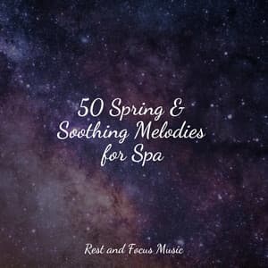 50 Spring & Soothing Melodies for Spa - Relaxing Nature Music