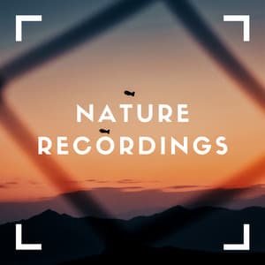 New Natural Noise - Natural Sample Makers