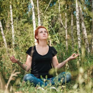 Owl Song Meditation: Melodic Wind and Bird Song for Deep Mindfulness - Birds On Television