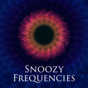 Snoozy Frequencies - Hz Sleep Project