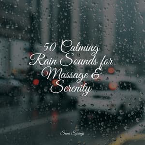 50 Calming Rain Sounds for Massage & Serenity - Spa Zen