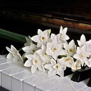 Piano for Relaxation, Sleep, Massage, Study, Zen, Serenity, Harmony - Piano Sad