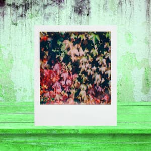 Ambiance for Another Anthem - Cafe Jazz Duo