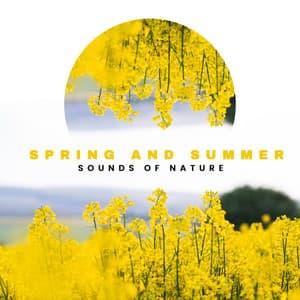 Spring and Summer Sounds of Nature. Relaxing Birdsong, The Sound of the Waves - Garden Music Academy