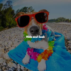 Hide and Seek - Upbeat Instrumental Music