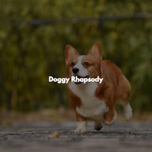 Doggy Rhapsody - Music for Cooking Playlist