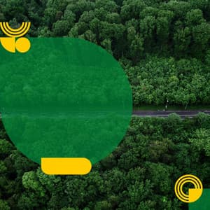 Charming Bgm for Daily Unwinding - Good Morning Jazz