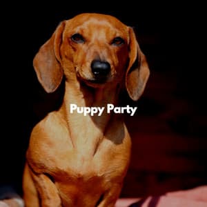 Puppy Party - Hintergrundmusik