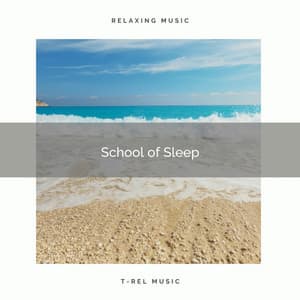 A School of Sleep - Sleep & Dream Academy