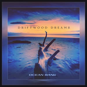Driftwood Dreams - Ocean Bank