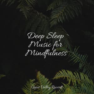 Deep Sleep Music for Mindfulness - Academia de Música para Massagem e Relaxamento