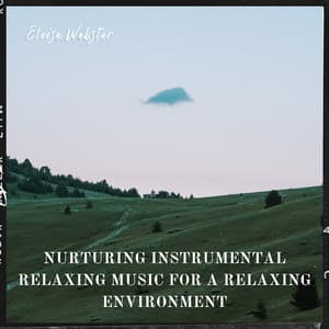 Nurturing Instrumental Relaxing Music for a Relaxing Environment - Eloise Webster