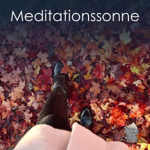 Meditationssonne - Zen Buddhismus Regeneration Sammlung