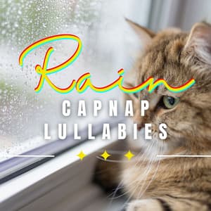 Rain's Feline Harmony: Tranquil Rainfall - Rain Sounds for Relaxation