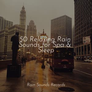 50 Relaxing Rain Sounds for Spa & Sleep - Study Music & Sounds