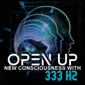 Open Up New Consciousness with 333 Hz - Anandani