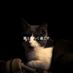 猫と楽しく過ごす - Easy Listening Sunday Morning Music