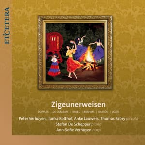 Zigeunerweisen - Stefan de Schepper
