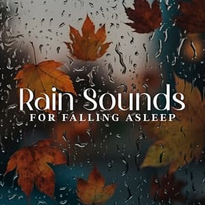 Rain Sounds for Falling Asleep, Meditation and Wellness - Healing Rain Sound Academy