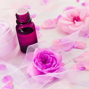 Spacious Music for Smooth Timbers - Piano Bossa Nova Duo - French Mornings