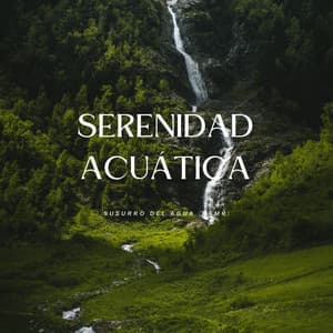 Serenidad Acuática: Susurro Del Agua - Paisaje sonoro de agua goteando