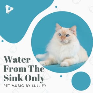 Water From The Sink Only - Pet Music by Lullify