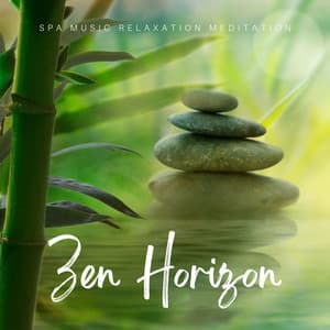 Zen Horizon: Relaxing Spa Music - Spa Music Relaxation Meditation