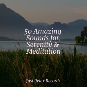 50 Amazing Sounds for Serenity & Meditation - Lullabyes