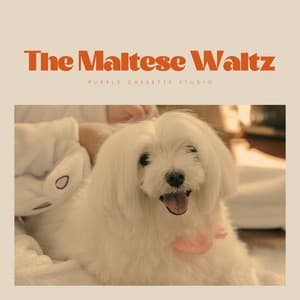 The Maltese Waltz - Pets Relax