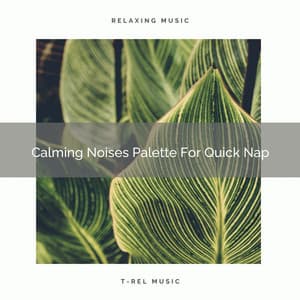Calming Noises Palette For Quick Nap - Calming Brown Restful Sounds