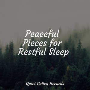 Peaceful Pieces for Restful Sleep - Rain