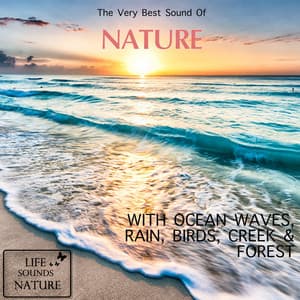 The Very Best Sound Of Nature - Ocean Waves, Rain, River, Birds - Life Sounds Nature