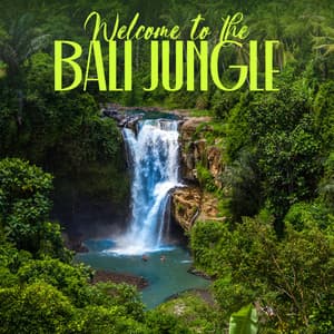 Welcome to the Bali Jungle - Jai Lainbachs