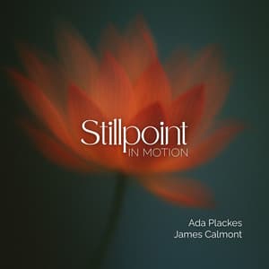 Stillpoint in Motion - Ada Plackes