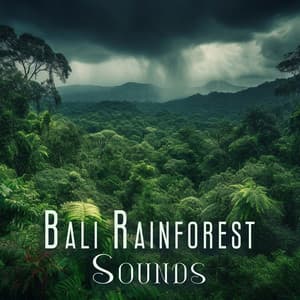 Bali Rainforest Sounds - Sounds of Nature Kingdom