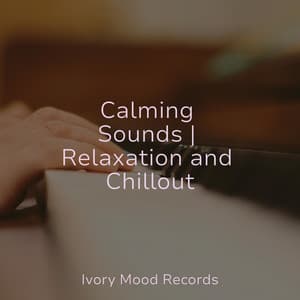 Calming Sounds | Relaxation and Chillout - Ivory Mood