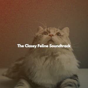 The Classy Feline Soundtrack - Jazz For Sleeping
